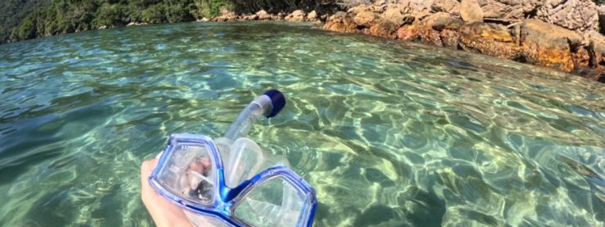 a9d0dd26-a16a-419e-be00-462e66f32d0e