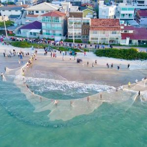 c8de2a60-8101-455c-8890-a885cd986134